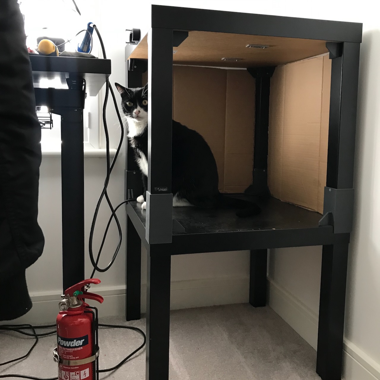 Enclosure - Cat Approved