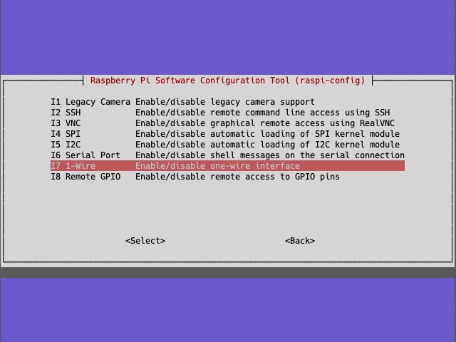 Using raspi-config to enable the 1-wire interface