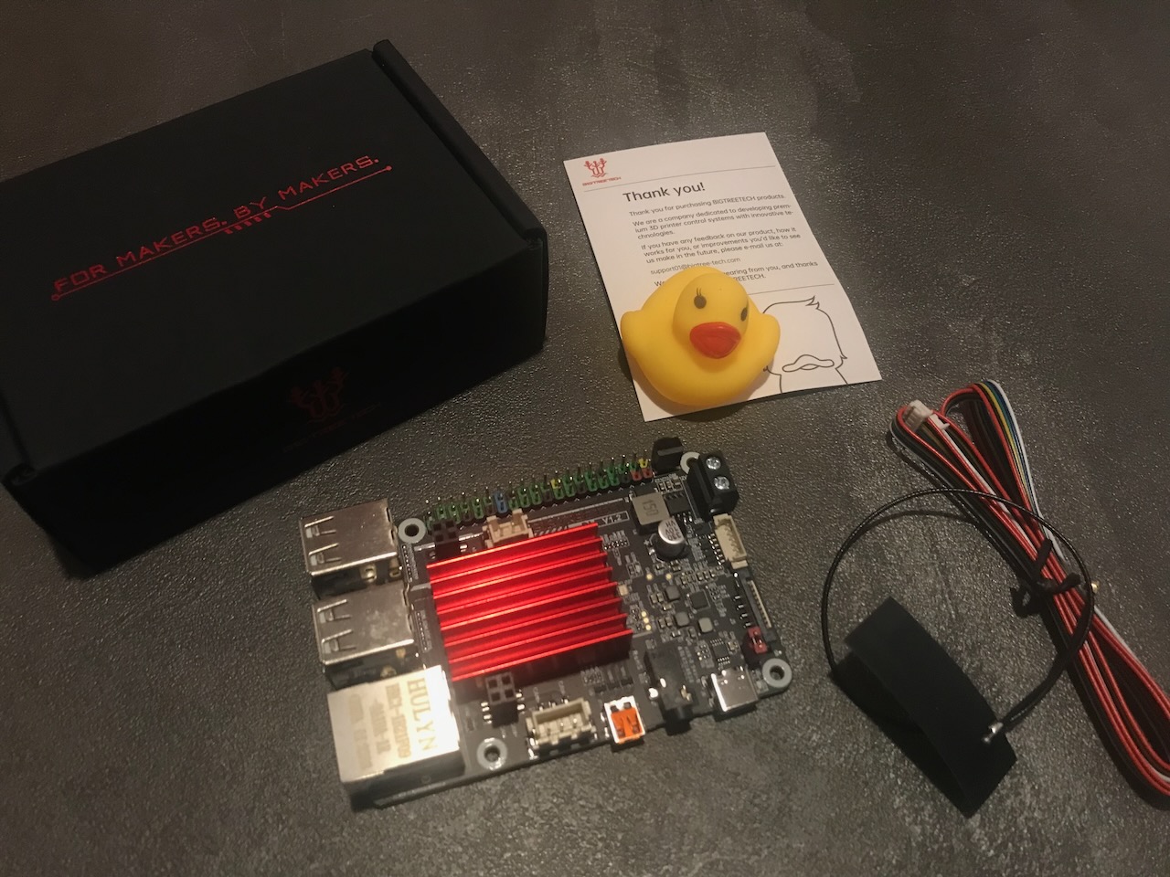 BigTreeTech Pi with Rubber Duck